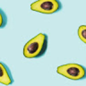 Meet your Posher, Zoey